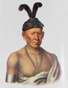 Wakechai vagy „Crouching Eagle”, Sauk főnök, illusztráció a „The Indian Tribes of North America, Vol.2”, Thomas L. McKenney és James Hall, pub. írta John Grant