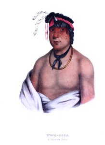 Weshcubb ("Az édes"), a Chippeway főnöke alkotó: Charles Bird King