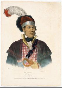 William McIntosh alkotó: Charles Bird King