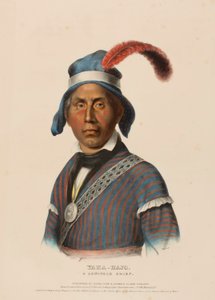 YAHA-HAJO. A SEMINOLE CHIEF., az Észak-Amerika indián törzseinek története című könyvből. alkotó: Charles Bird King