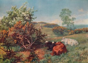Táj szarvasmarhákkal a Nowerben, Dorking, 1899