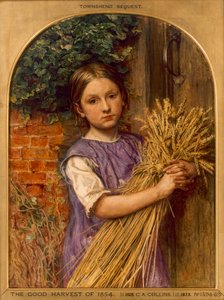 „1854 jó termése”, 1854