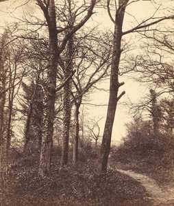 tél, 1855. alkotó: Charles Conway