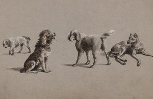 Tanulmányok kutyákról (toll, ecset, tinta és gouache papíron)