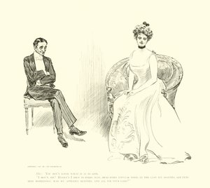 Illusztráció: A társadalmi létra alkotó: Charles Dana Gibson