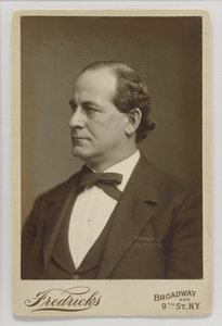 William Jennings Bryan alkotó: Charles DeForest Fredricks