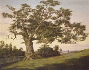 A Charter Oak alkotó: Charles de Wolf Brownell
