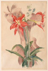 Amarillisz alkotó: Charles Demuth