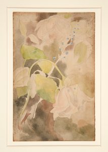Barackos rózsa alkotó: Charles Demuth