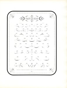 Kalligrafikus díszítések és dekoratív elemek (nyomtatás)