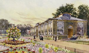 Londoni Állatkert: Monkey House (színes litho)