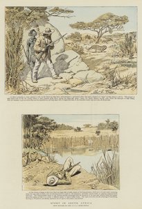 Sport Dél-Afrikában (chromolitho)