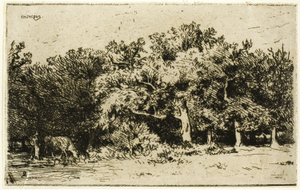 A fontainebleau-i erdő egy része alkotó: Charles Emile Jacque