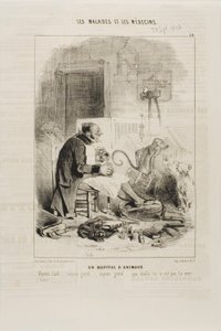 Állatkórház (20. tábla) alkotó: Charles Emile Jacque
