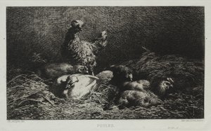 Csirkék alkotó: Charles Emile Jacque