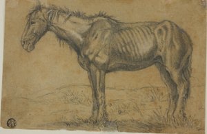 Elfogyott ló (recto); egy ló frontális nézete (verso) alkotó: Charles Emile Jacque
