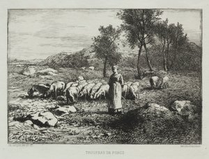Sertéscsorda, 1868. alkotó: Charles Emile Jacque
