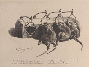 Egérfogó, 1860. alkotó: Charles Emile Jacque