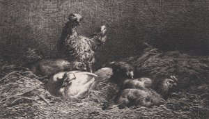 Tyúkok, 1867.