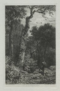 Lövés a fakakasra alkotó: Charles Emile Jacque
