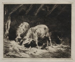 Két disznó alkotó: Charles Emile Jacque