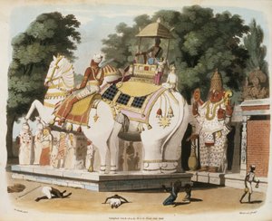 A bennszülöttek tisztelegnek uralkodójuk előtt, Thomas Medland (1755-1823) metszete 1803