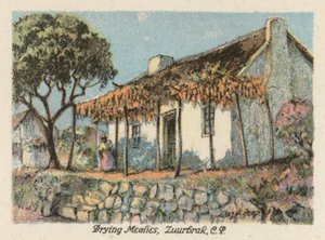 Dél-Afrika: Zuurbrak, CP (színes litográfia)
