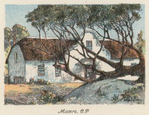 Dél-Afrika: Mamre, CP (színes litográfia) alkotó: Charles Ernest Peers