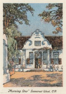 Dél-Afrika: "Morning Star", Somerset West, CP (színes litográfia) alkotó: Charles Ernest Peers