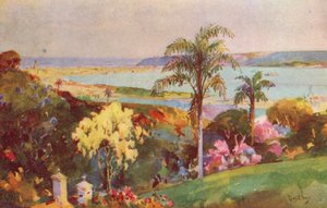 Natal kikötője, Durban (színes litográfia)