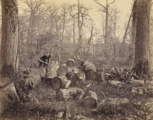 Fontainebleau-i erdő alkotó: Charles Famin