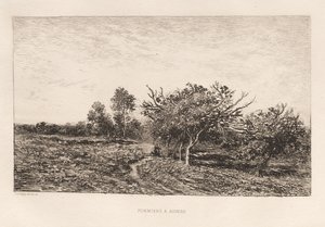 Almafák Auversben Almafák Auversben, 1877. alkotó: Charles Francois Daubigny