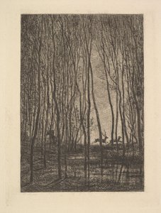 Szarvas az erdőben, 1850. alkotó: Charles Francois Daubigny
