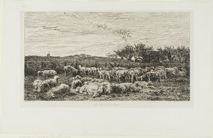 Rét juhokkal alkotó: Charles Francois Daubigny