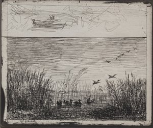 Mocsár kacsákkal alkotó: Charles Francois Daubigny