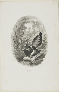 A szarka alkotó: Charles Francois Daubigny