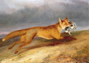 Fox indul egy nyúllal