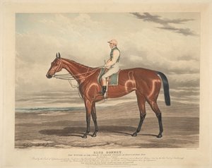 Lóverseny: Blue Bonnet. Az 1842-es doncasteri nagy St. Leger Stakes győztese alkotó: Charles Hunt