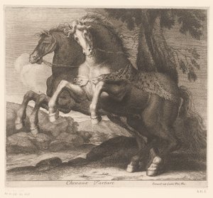 lovakat tenyészteni Chevaux Tartare (cím a tárgyon) Állatsorozat (sorozat címe)