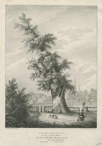 Lichfield – Dr. Johnson