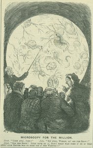 Mikroszkóp a millióknak: 1878 (metszet)