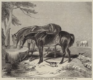 Lovak, William Wigram, Esquire tulajdona.