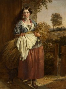 Gleaner (olaj a panelen)