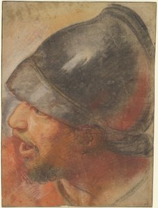 Kopf eines makedonischen Soldaten alkotó: Charles Le Brun
