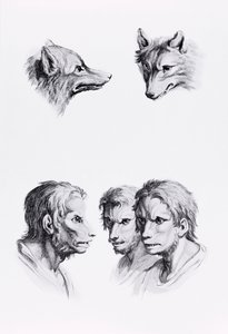 Hasonlóságok a farkas feje és az ember között, Le Brun „Arcképek könyve azoknak, akik elkezdenek rajzolni” című könyvéből alkotó: Charles Le Brun
