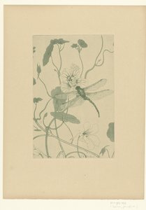 Szitakötő a nasturtium virágon Fleurs L