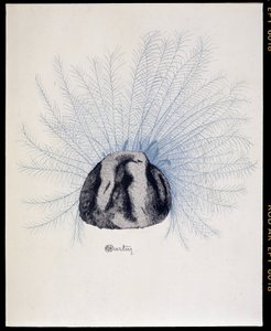 Apás kalap – Marcelle Demay „La Mode en 1912”, illusztráció: Charles Martin (1884-1934) alkotó: Charles Martin