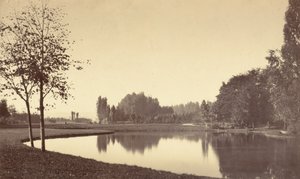 Boulogne-i erdő alkotó: Charles Marville