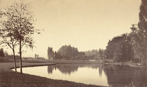 Bois de Boulogne, 1858. alkotó: Charles Marville