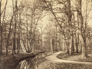Boulogne-i erdő, Párizs alkotó: Charles Marville